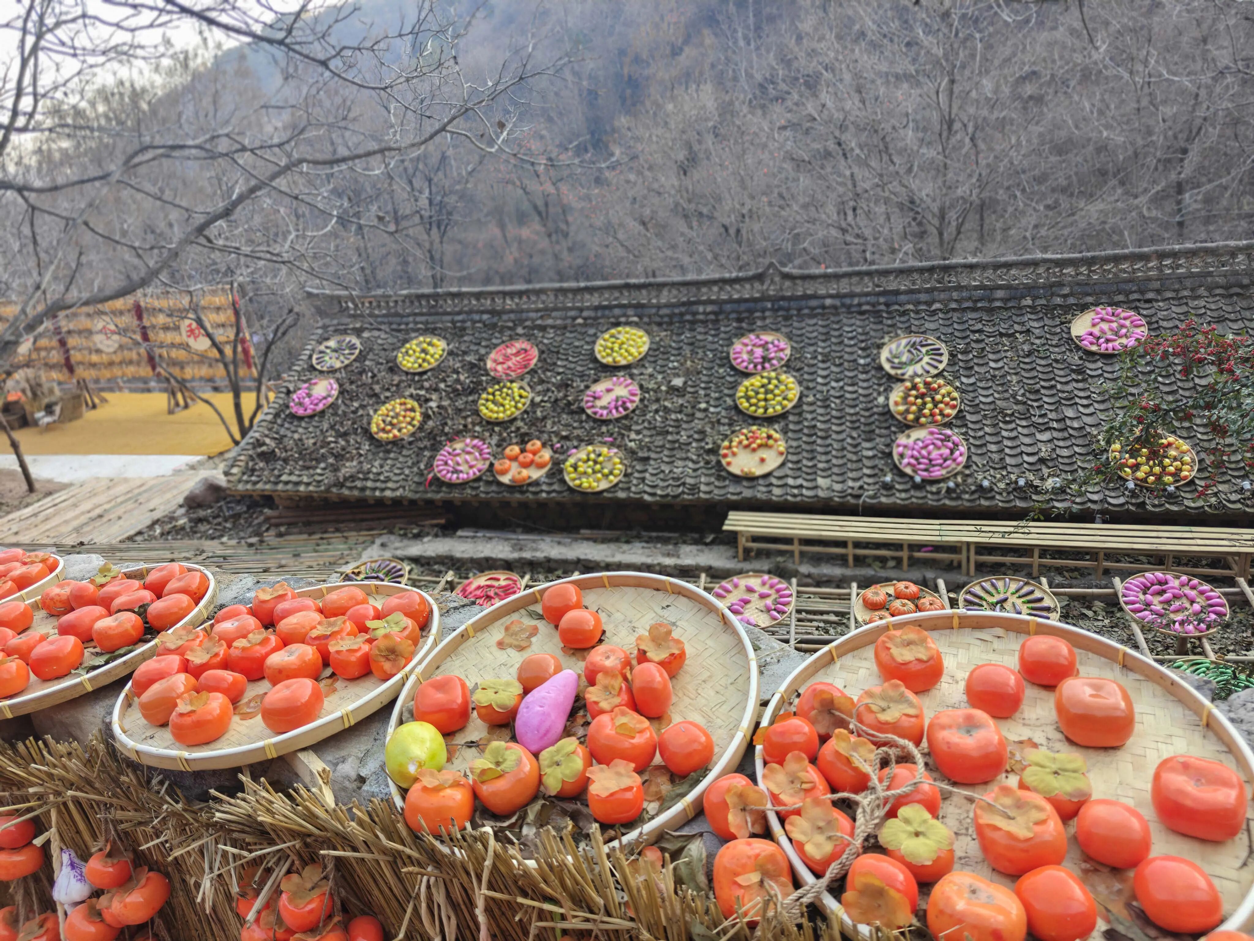 1763968563514441.jpg 微信圖片_2025-11-24_151421_494.jpg